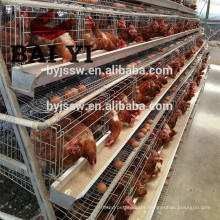 Best Sale Chicken Egg Layer Cages In South Africa farm, Battery Cages For Layers